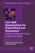 Core-Shell Nanostructures for Drug Delivery and Theranostics: Challenges, Strategies and Prospects for Novel Carrier Systems