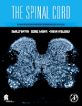 The spinal cord: a Christopher and Dana Reeve Foundation text and atlas