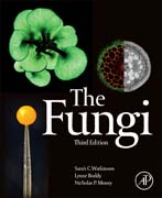 The Fungi