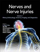 Nerves and Nerve Injuries