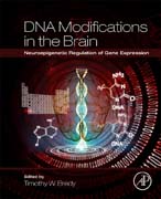 DNA Modifications in the Brain: Neuroepigenetic Regulation of Gene Expression