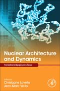 Nuclear Architecture and Dynamics