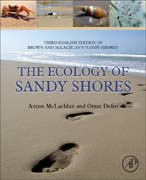 The ecology of sandy shores