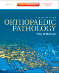 Orthopaedic pathology