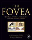 The Fovea: Structure, Function, Development, and Tractional Disorders