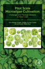 Pilot Scale Microalgae Cultivation: Challenges and Practical Solutions to Pond Crash