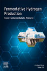 Fermentative Hydrogen Production: From Fundamentals and Processes