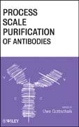 Process scale purification of antibodies