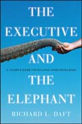 The executive and the elephant: a leader's guide for achieving inner excellence