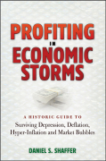 Profiting in economic storms: a historic guide to surviving depression, deflation, hyperinflation, and market bubbles