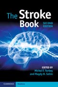 The Stroke Book