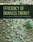 Efficiency of Biomass Energy: An Exergy Approach to Biofuels, Power, and Biorefineries