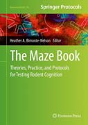 The Maze Book