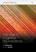 The year in cognitive neuroscience 3