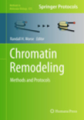 Chromatin remodeling: methods and protocols