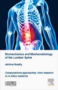 Biomechanics and Mechanobiology of the Lumbar Spine: Computational Approaches: From Research to In Silico Medicine