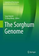 The Sorghum Genome