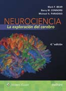 Neurociencia: la exploración del cerebro