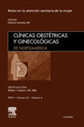 Clínicas obstétricas y ginecológicas de Norteamérica 2009 v. 36 n. 4 Retos en la atención sanitaria de la mujer